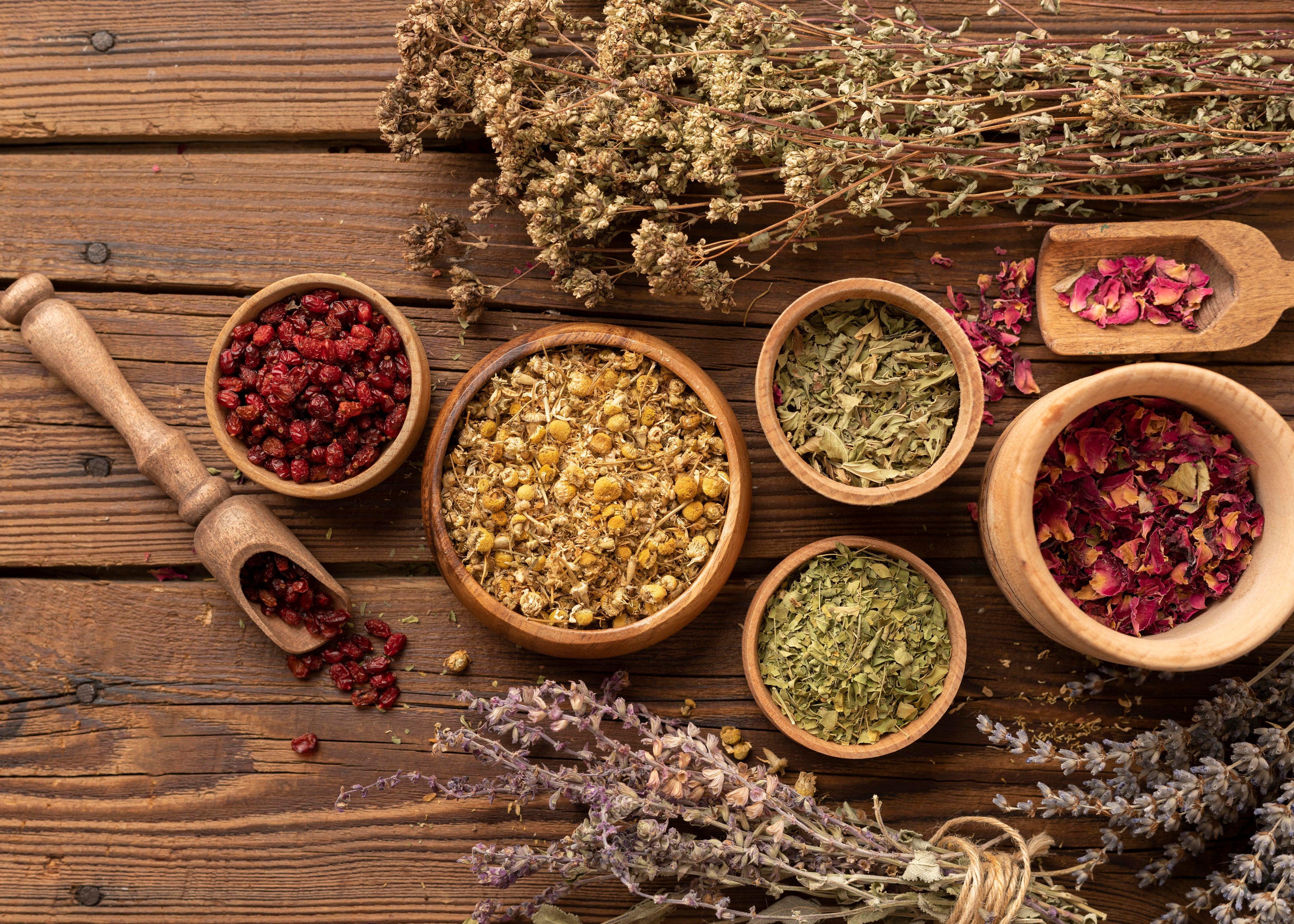 Botanical herbs on a wooden table